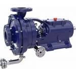 ISO Standard Pumps